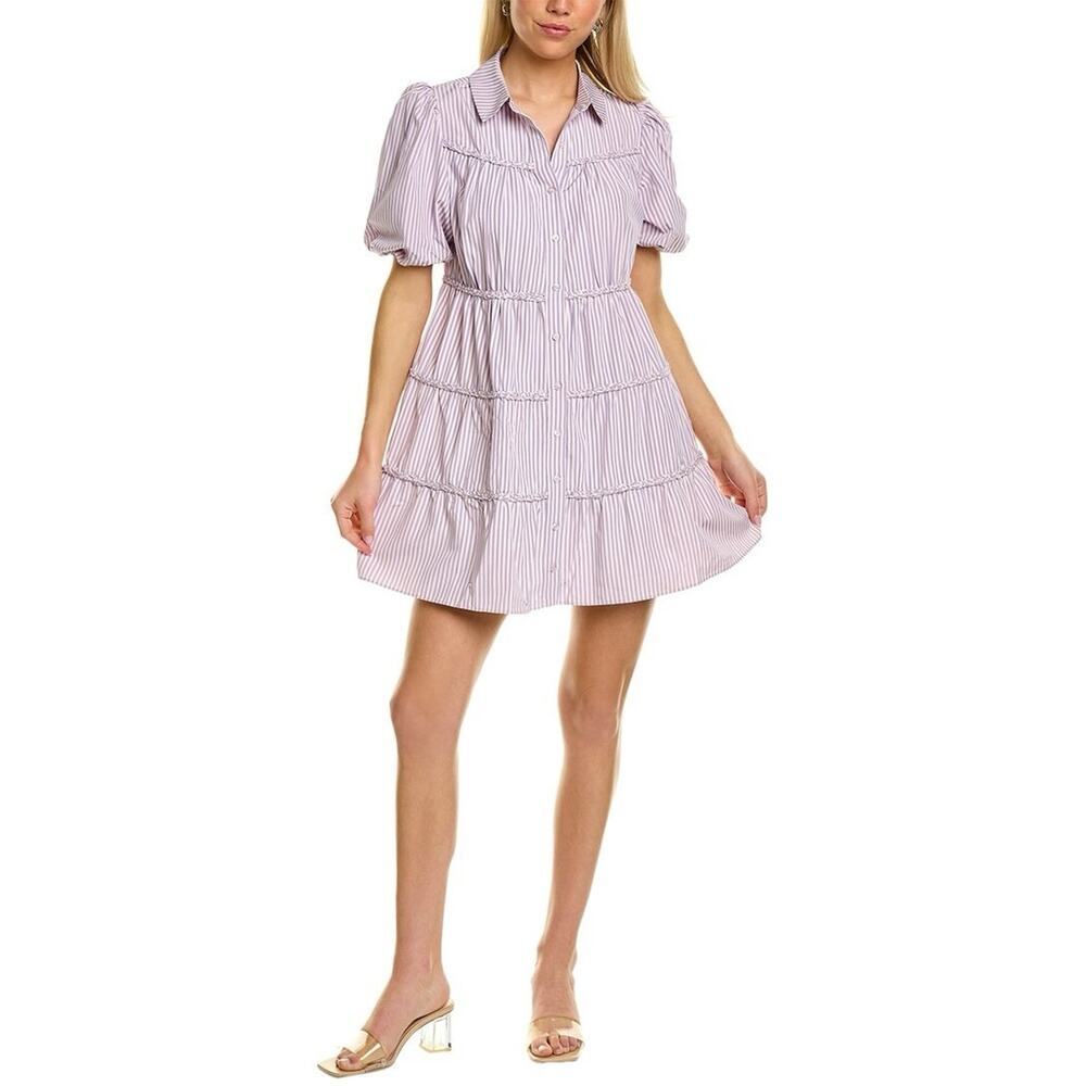 Walter Baker Preppy Preston A-Line Shirt Dress Lilac Pink Purple Stripes XS